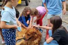 IMG-20250711-WA0109